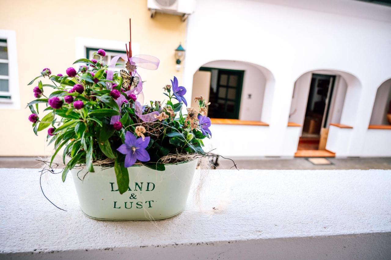 Landhaus Dasthomas Henndorf im Burgenland Zewnętrze zdjęcie